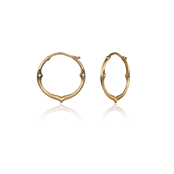 Small Hoop Earrings